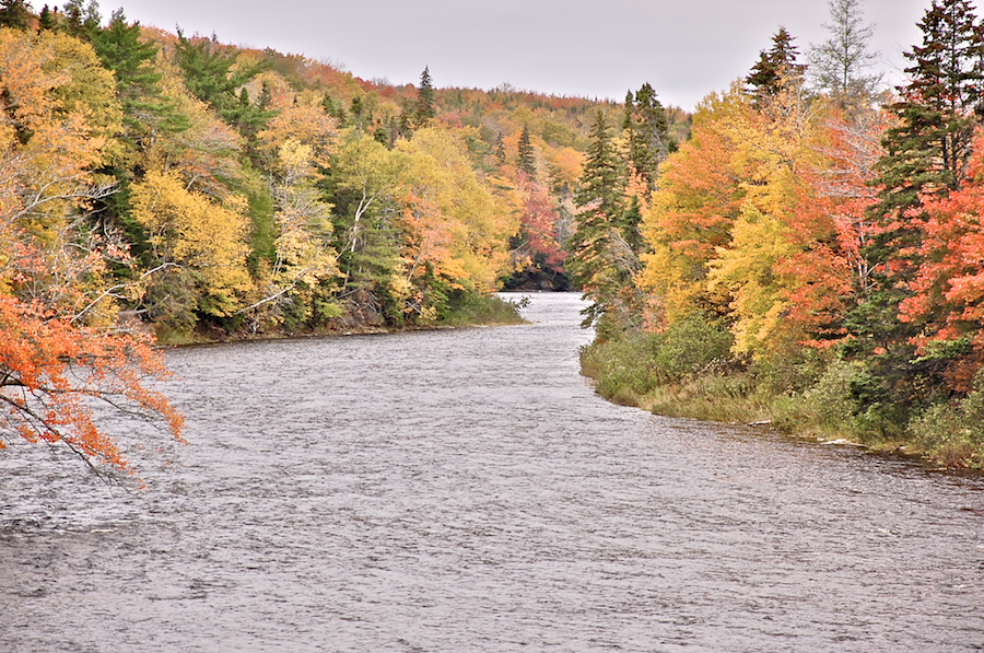 Southwest Mabou River from Long Johns Bridge