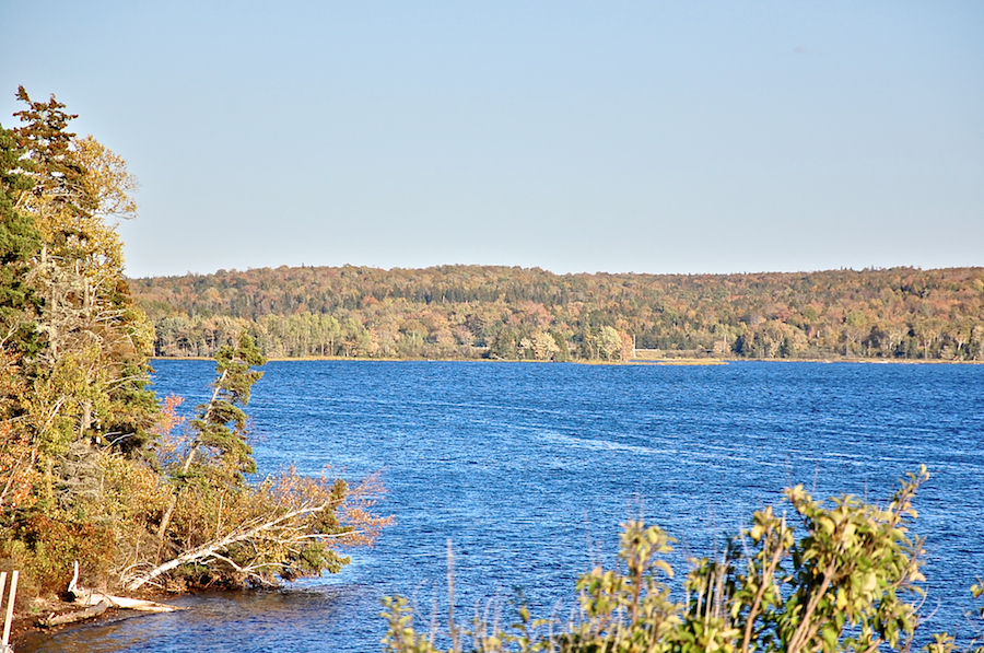 Nyanza Bay