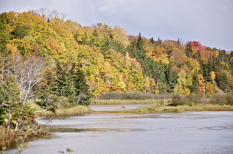 Mabou River from Highway 252 below Mabou Mountain