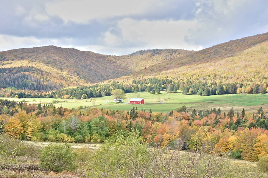 Northeast Mabou