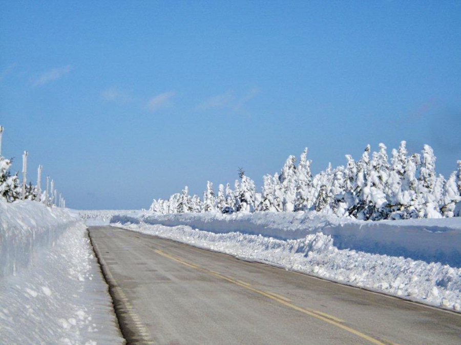 Cabot Trail near the summit of MacKenzies Mountain