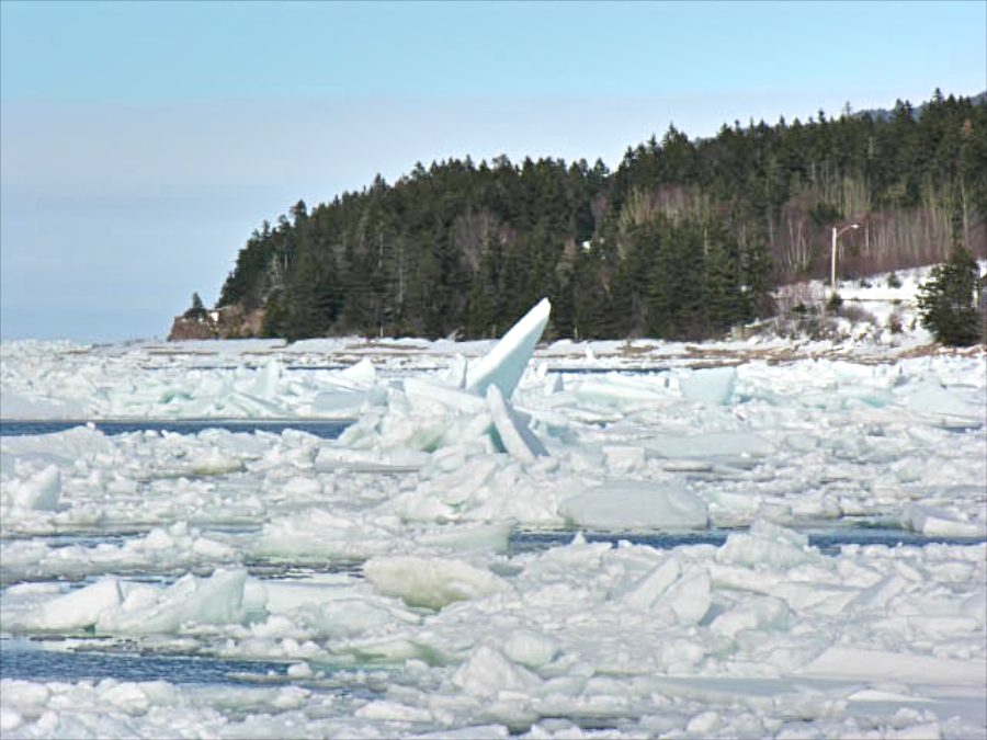 Ice in the mouth of St Anns Harbour