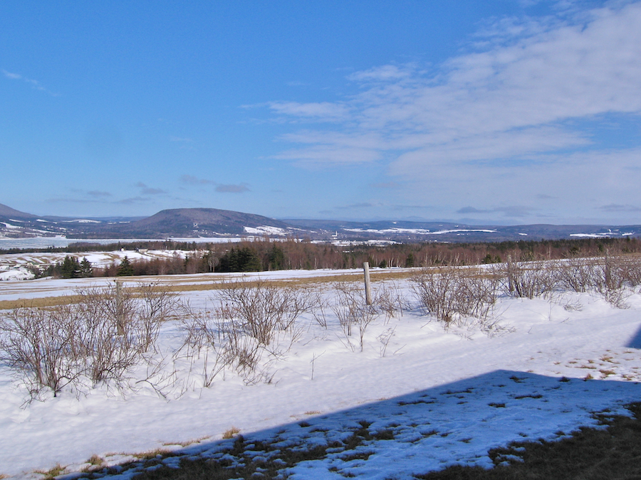Inland view to the east of northeast from West Mabou