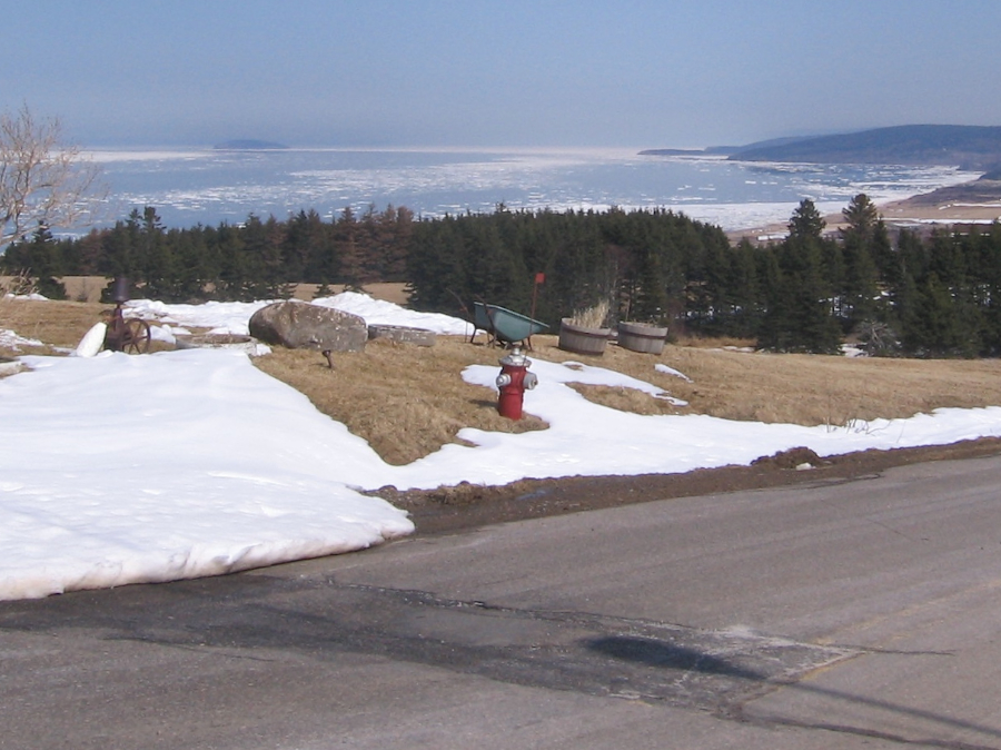 Margaree Island and Broad Cove from Broad Cove Banks