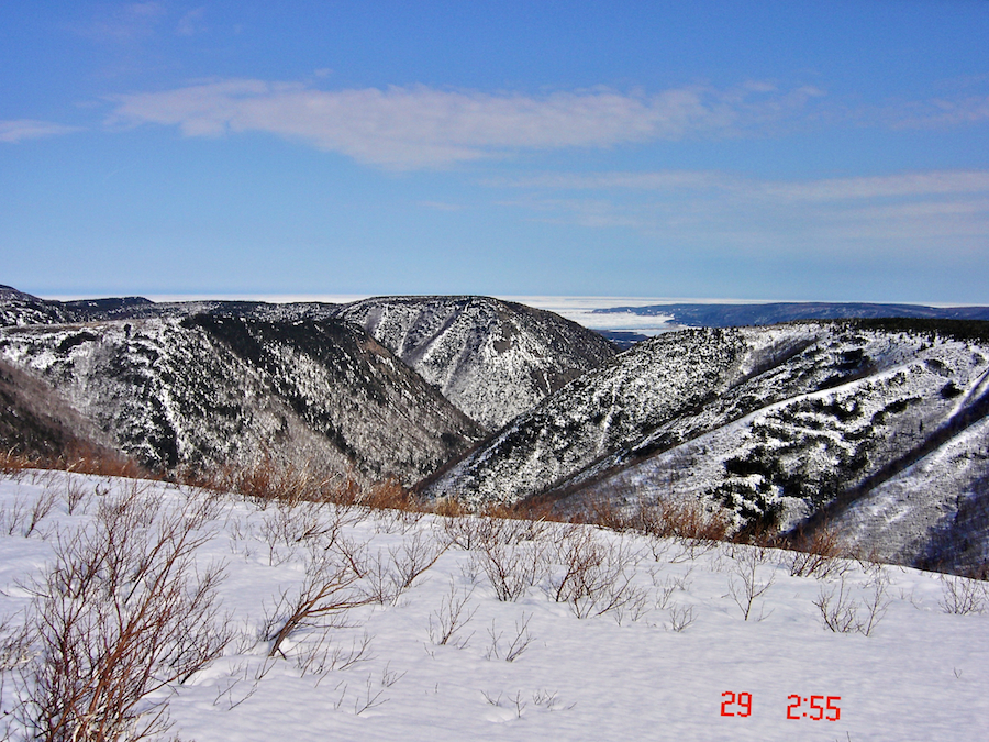 Panorama towards White Point from south of McEvoys Barren