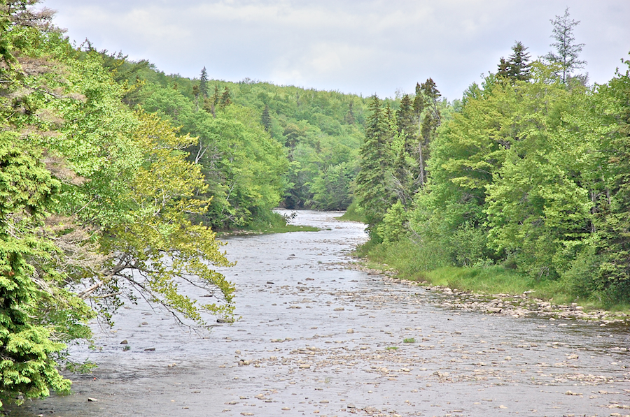 Southwest Mabou River from Long Johns Bridge