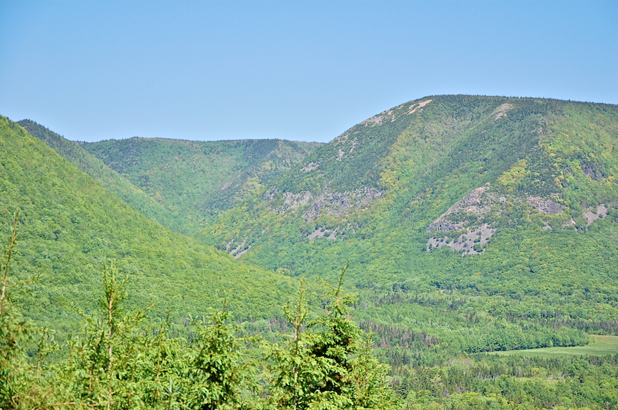 Tenerife Mountain and Grays Hollow