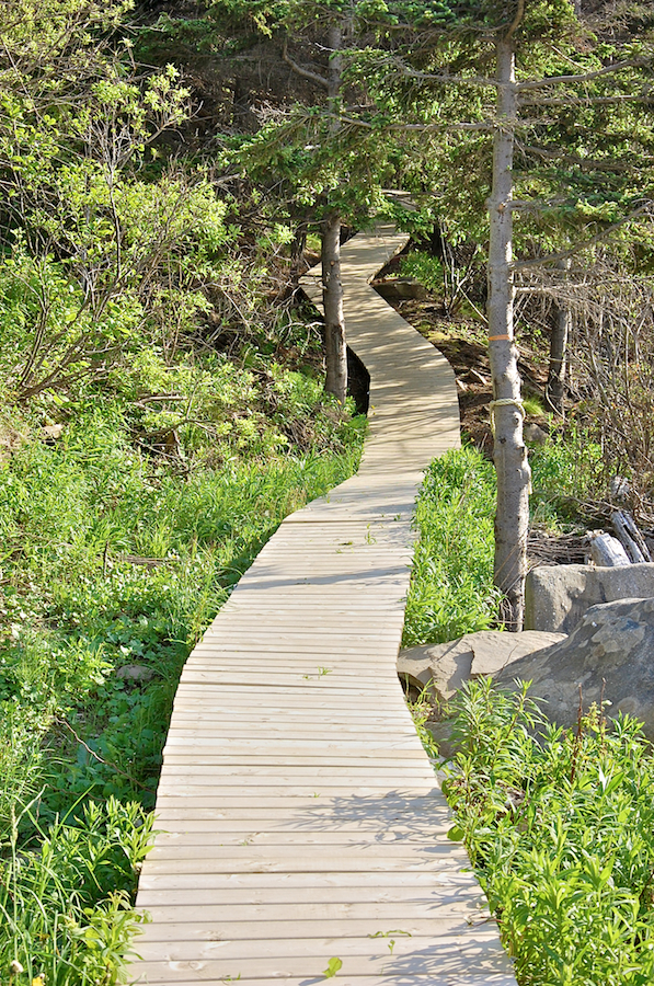 Portion of the boardwalk from the Meat Cove Community Centre to the Meat Cove Beach