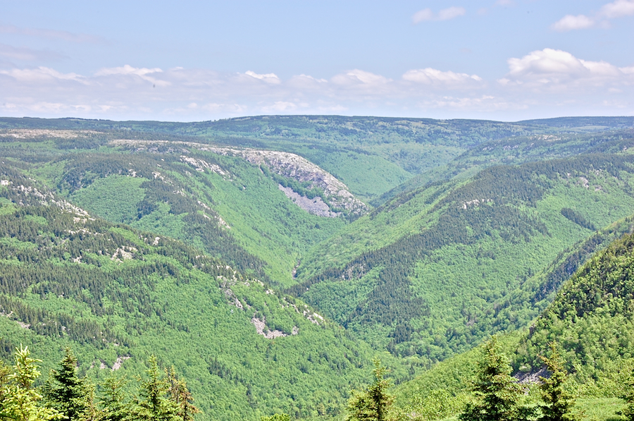 MacKenzies River Valley from MacKenzies Mountain