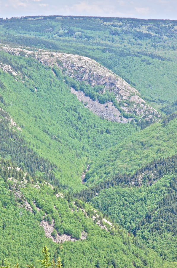 Close-up view of the MacKenzies River Valley