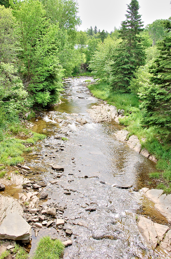 Miramichi Brook to the southeast from the bridge on the Old Mull River Road