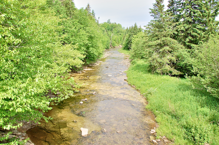 Miramichi Brook to the northwest from the bridge on the Old Mull River Road