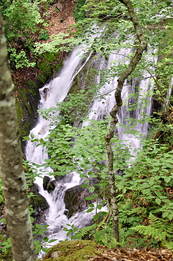 Glenora Falls