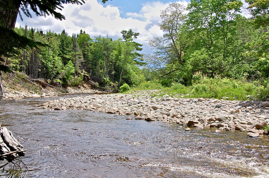 Barachois River from the Red Island Trail