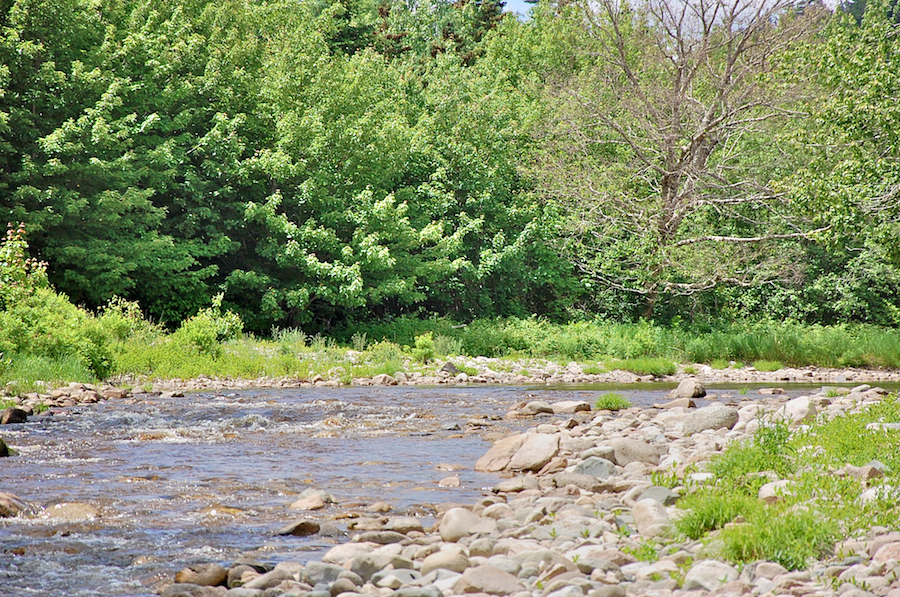 Looking upstream on the Barachois River