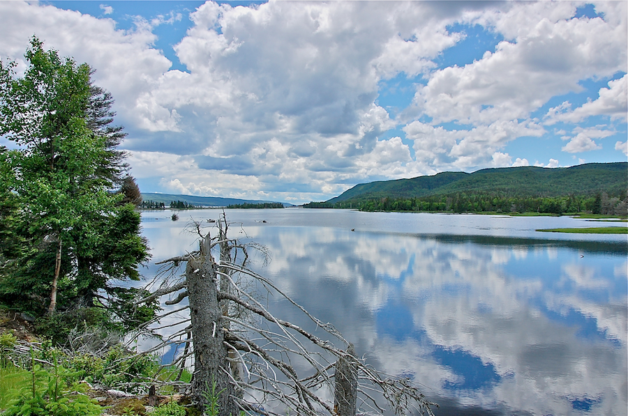 Looking down St Anns Bay from the Red Island Trail