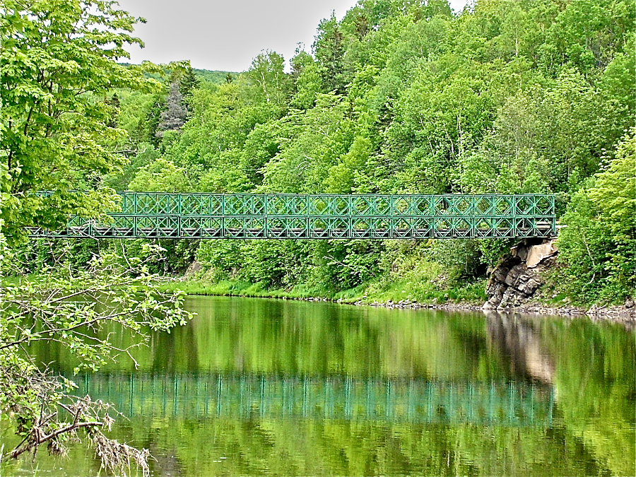 The previous Doyles Bridge