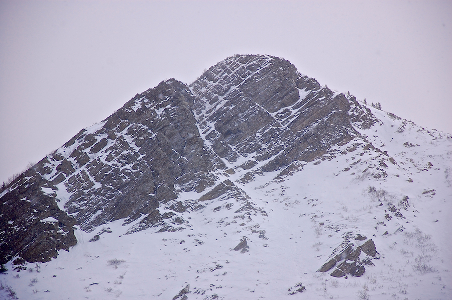 Close-up of the Meat Cove Mountain summit