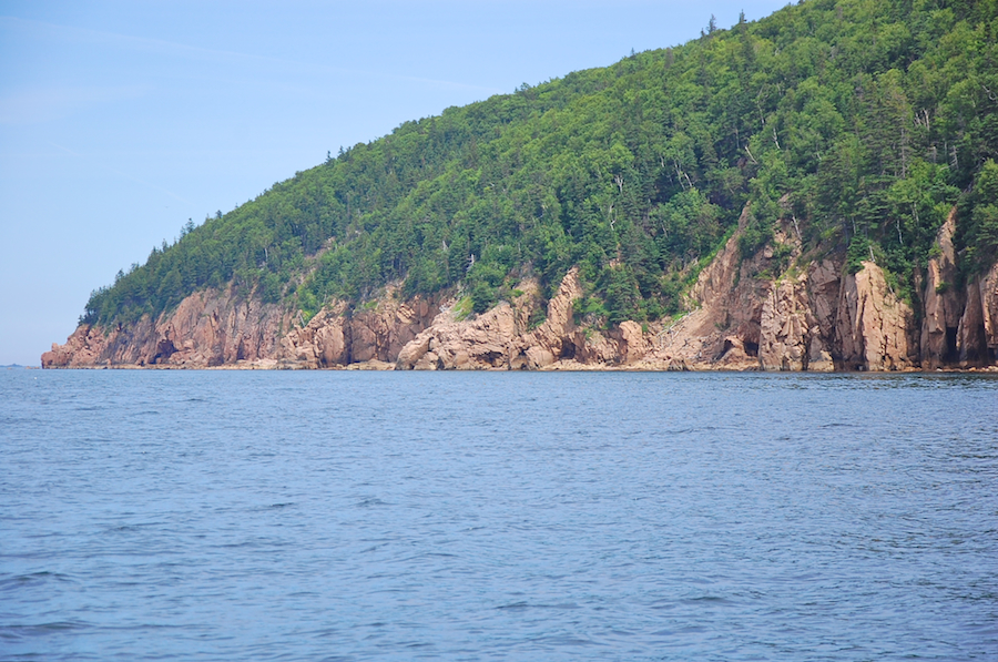 Shore south of Cowdy Point