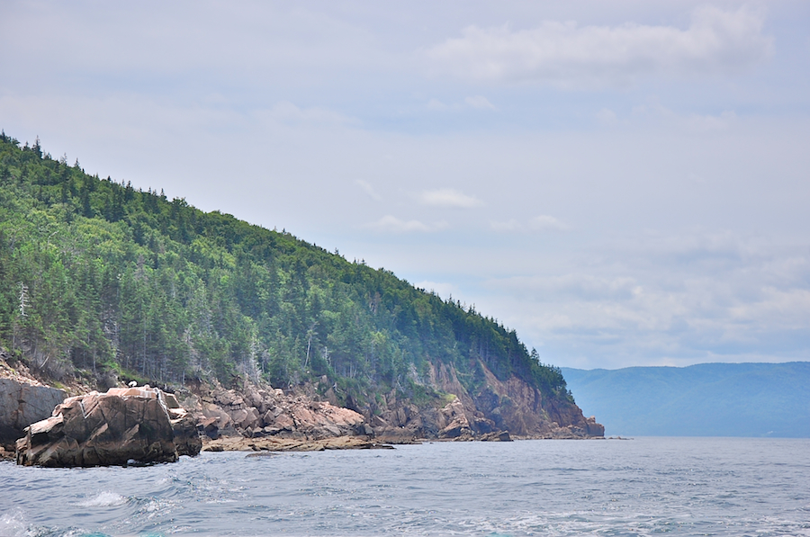 Shore north of Cowdy Point