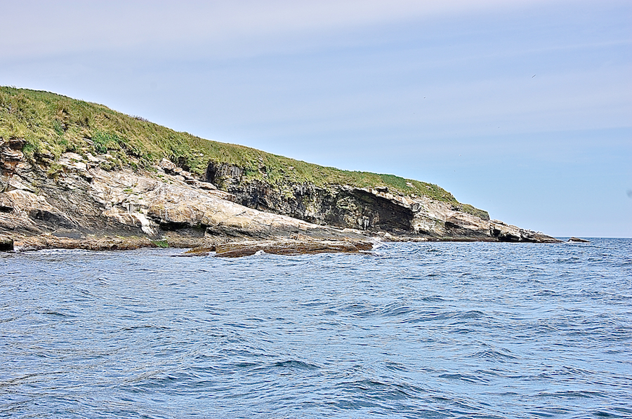 Eastern shores of the southwestern end of Hertford Island