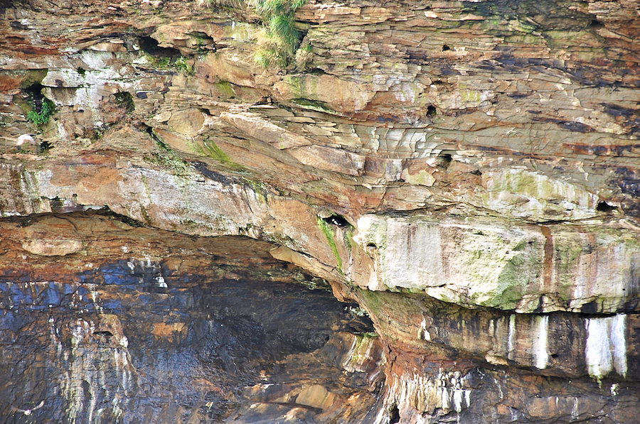 Puffins nesting in a cliff on Ciboux Island