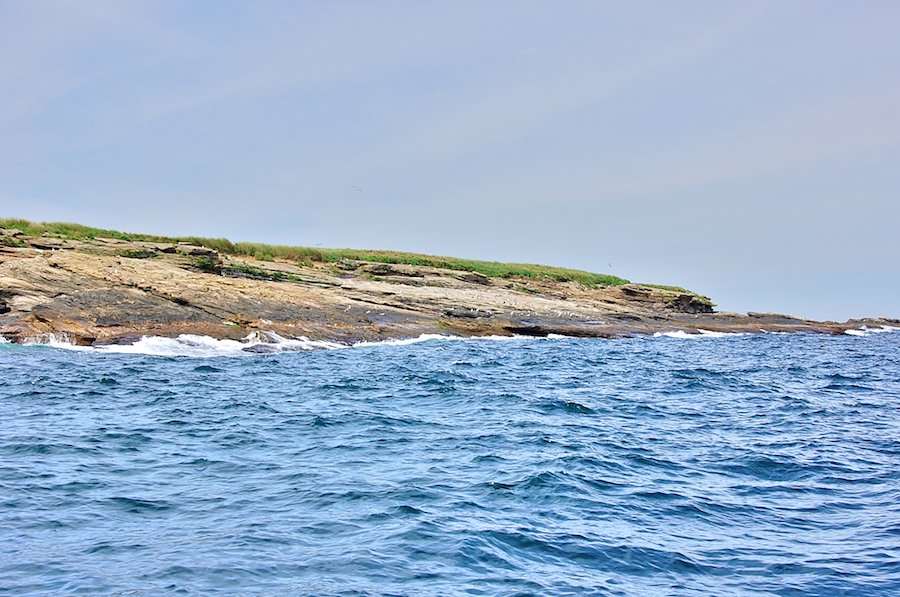 Eastern shores of the northeastern end of Ciboux Island