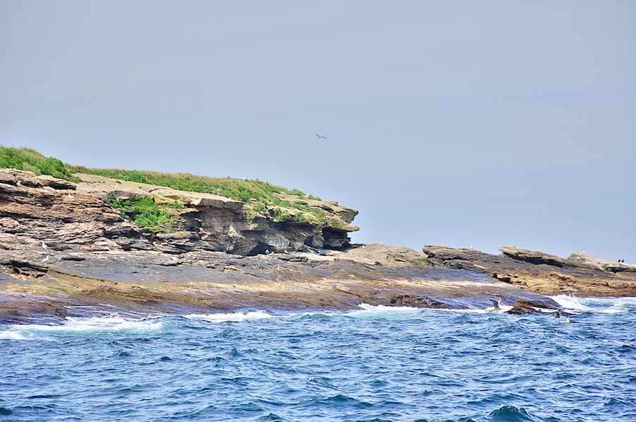 Eastern shores of the northeastern end of Ciboux Island