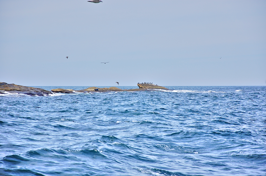 Northeastern end of Ciboux Island