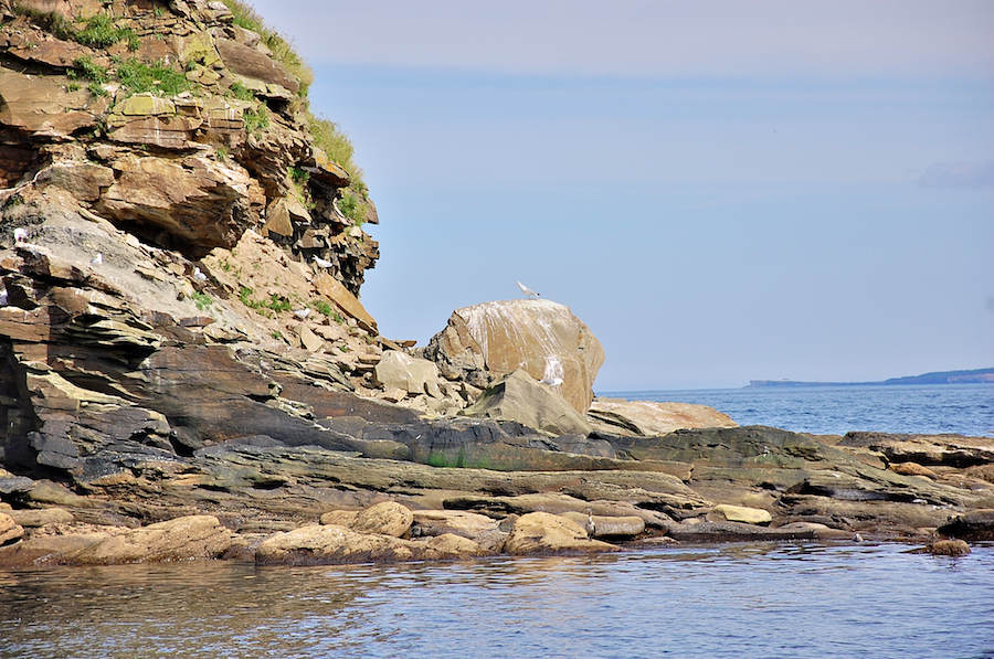 Southwestern tip of Hertford Island