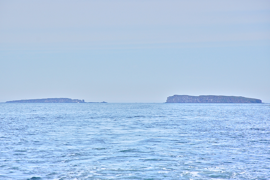 Bird Islands from southwest of Cowdy Point