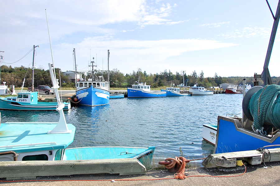 Fishing Boats at Alder Point Harbour