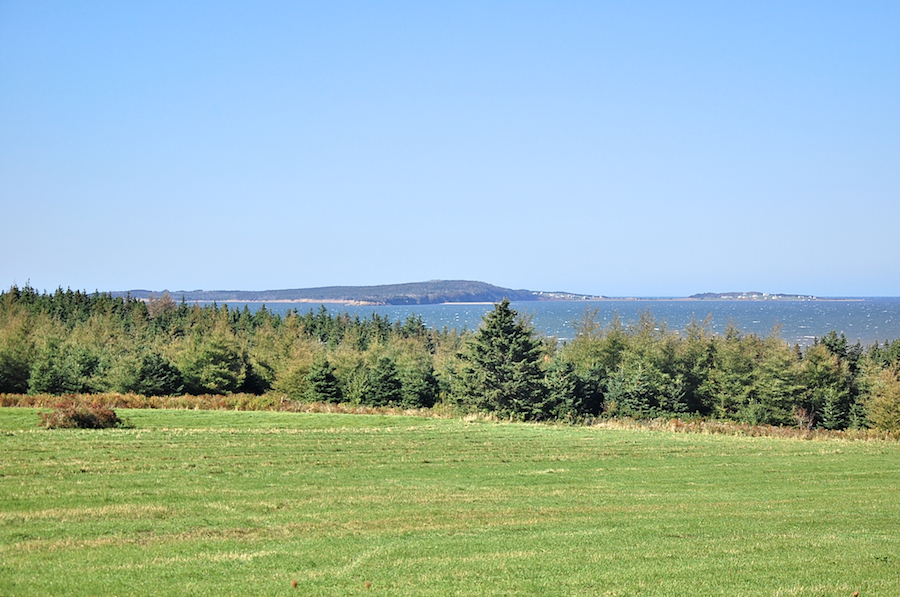 Port Hood Island from the Lower Shore Road above Little Judique Harbour