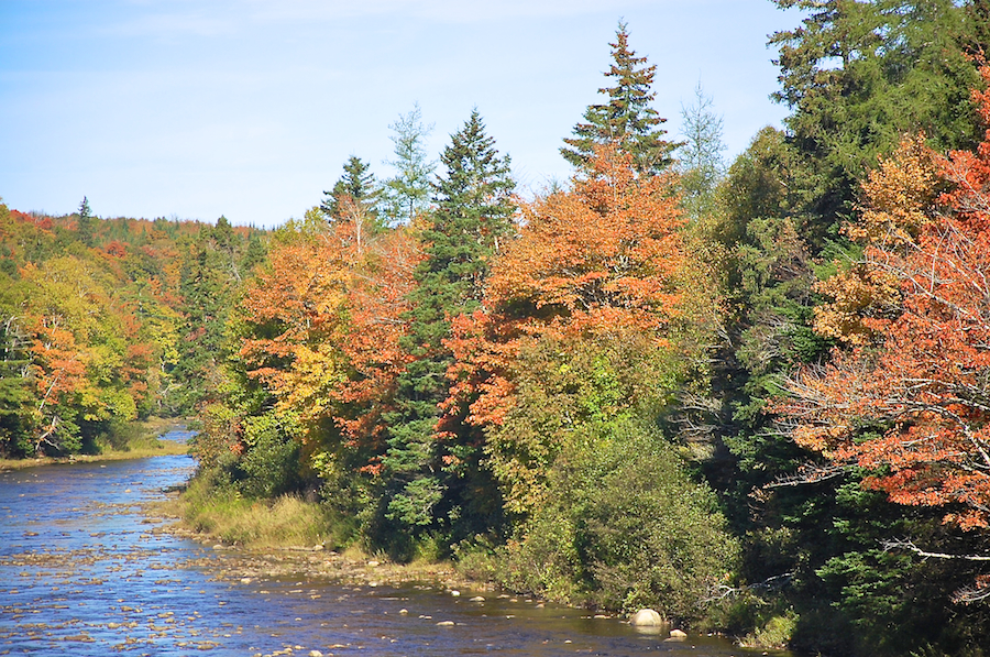 Looking downstream from Long John’s Bridge