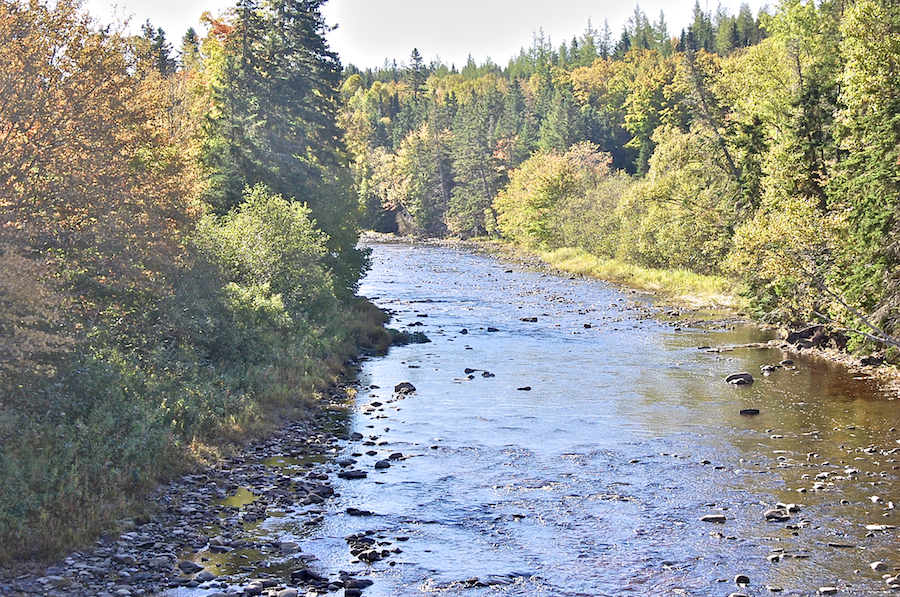 Looking upstream from Long John’s Bridge