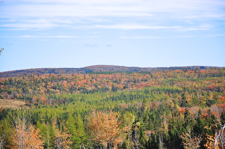 Looking Northeast from the Glencoe Road