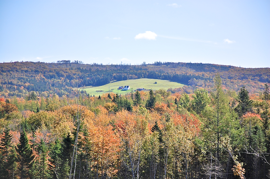 Looking East from the Glencoe Road