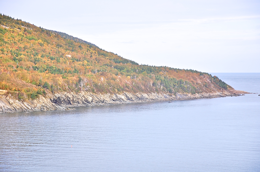 Pats Point from the Meat Cove Road