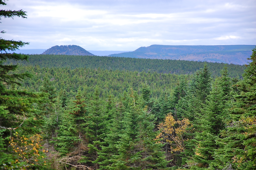 Wilkie Sugar Loaf and North Mountain from the Cape North Massif