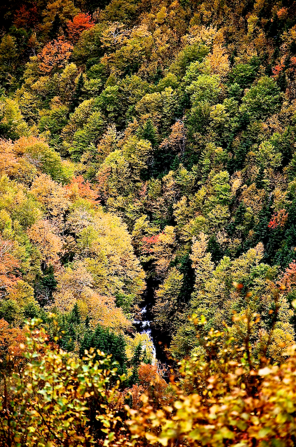 Fishing Cove River Falls from the Cabot Trail Look-Off