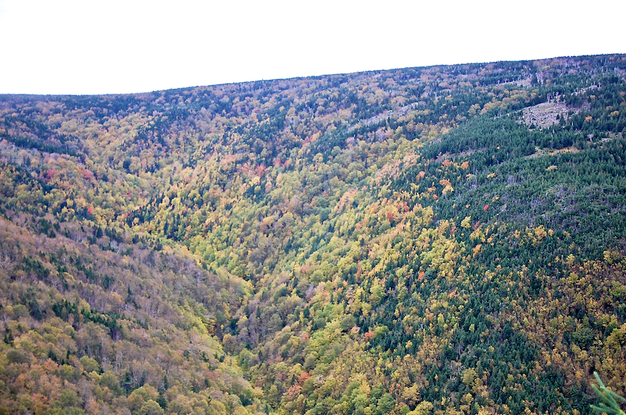 Fishing Cove River Valley from the Cabot Trail Look-Off