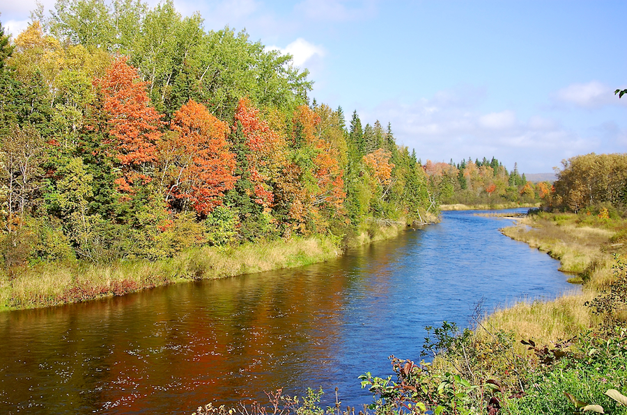 Looking upstream at the Baddeck River from Baddeck Bridge