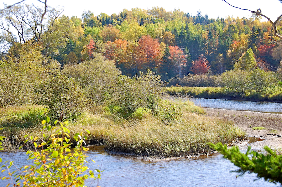 Mabou River from Highway 252