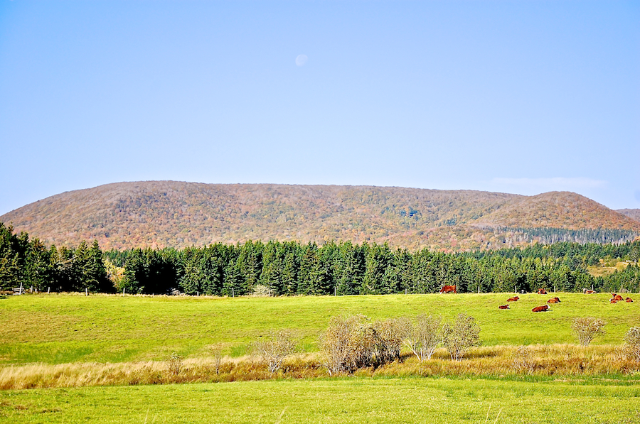 Cape Mabou Highlands from the Smithville Road