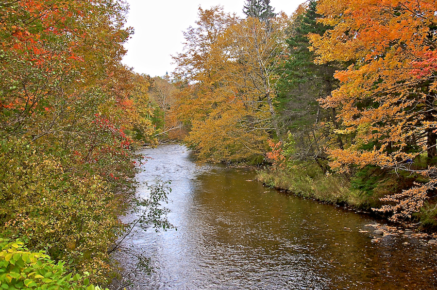 Looking downstream at the Indian River from Reservation Road