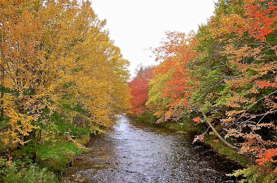 Looking upstream at the Indian River from Reservation Road