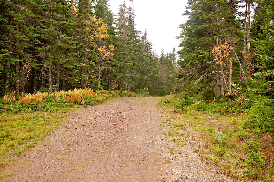 Lewis Mountain Road on the plateau