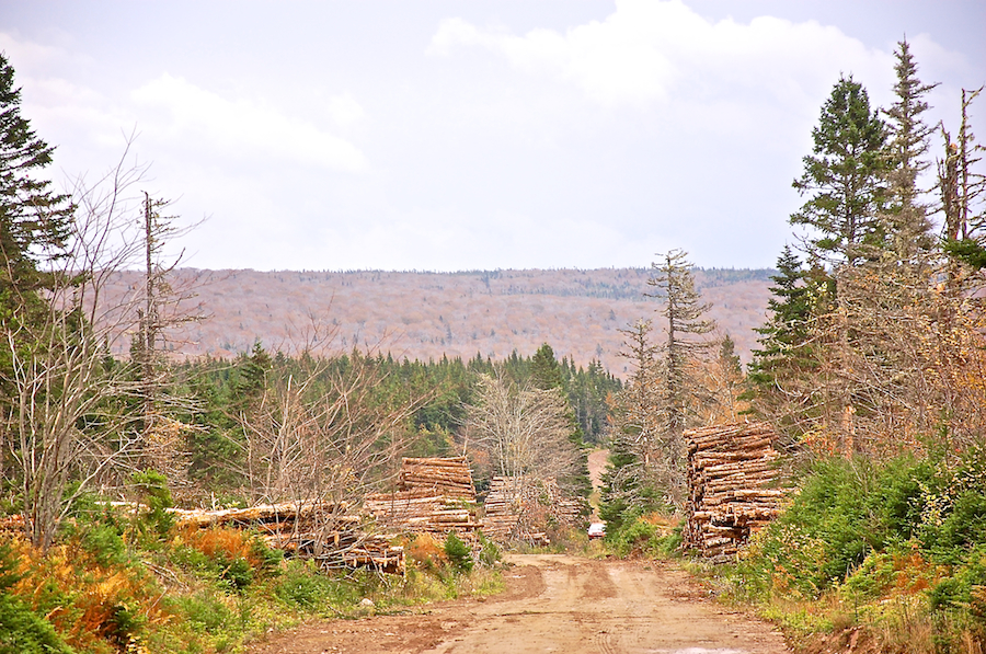 Lewis Mountain Road on the plateau