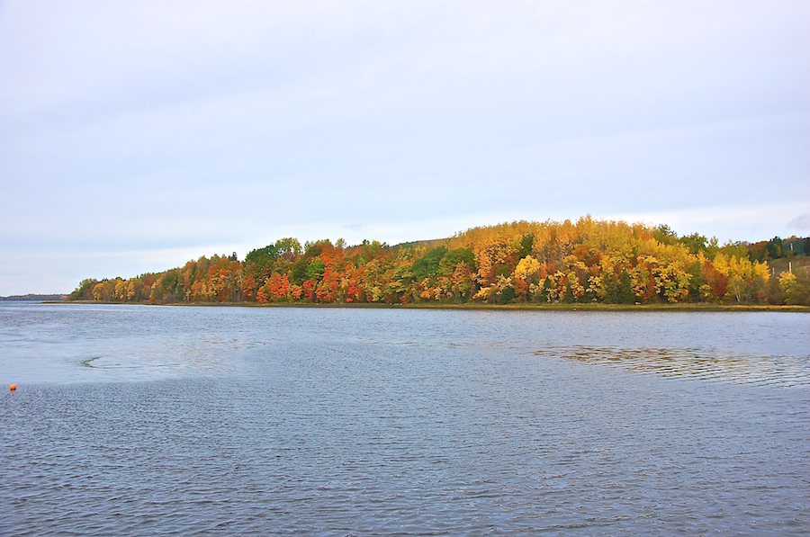 Mabou River from the Mabou Village Wharf