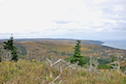 Northern End of Cape Breton Island from the Cape North Massif